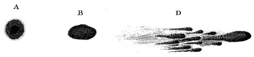 L'article d'origine