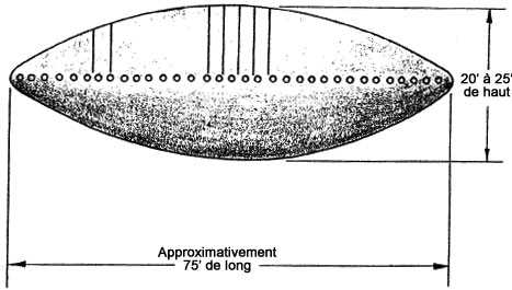 Cas 12