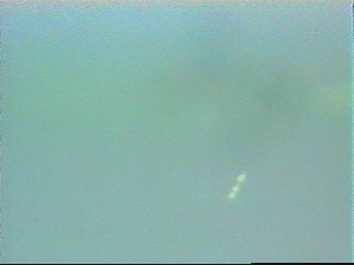 Observation au Brésil