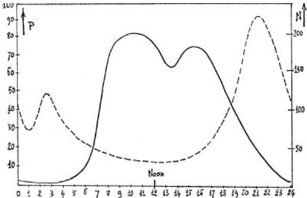 Figure 8 - Distribution temporelle des signalements de type 1 (N, ligne pointillée) et des témoins      potentiels (P, ligne pleine, pourcentage de la population ne travaillant pas chez elle)