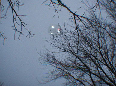 1ère photographie le 1er février. À noter une des 3 lumières blanches masquant complètement une partie    d'une branche