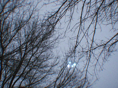 2ᵉ photographie le 1er février. Là aussi, les lumières blanches semblent éblouir au point de masquer des    branches