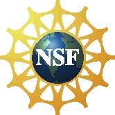 Logo de la NSF