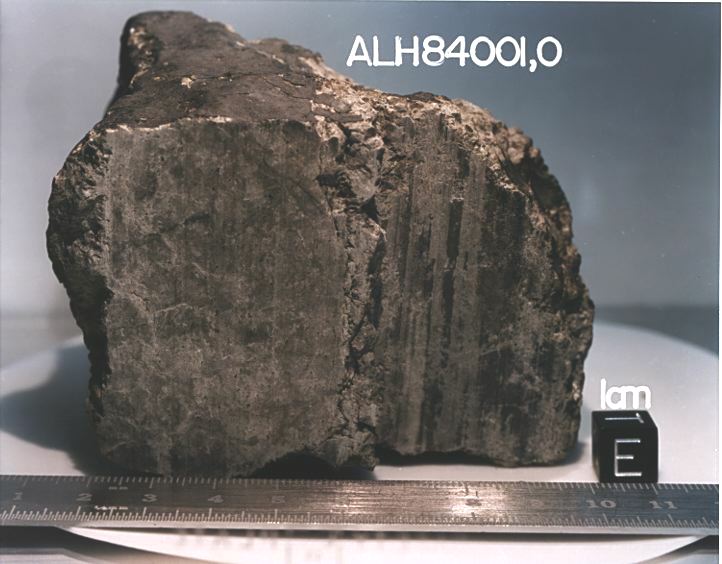 La météorite ALH84001