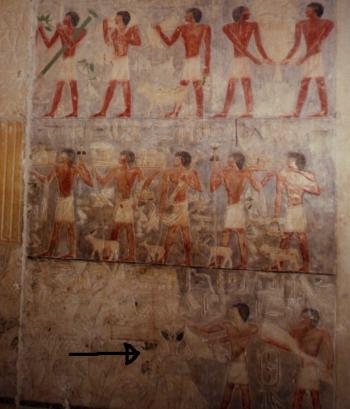 La fresque murale montrant des servants offrant de la nourriture au sage et philosophe égyptien      Ptah-Hotep (assis à la gauche par rapport à cette image)