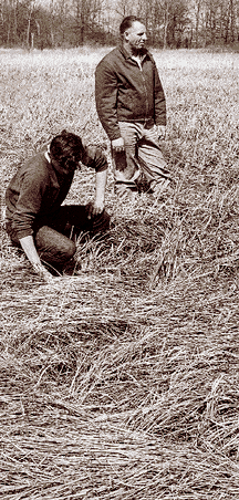 Frank Mannor et son fils font des recherches à l'endroit où l'ovni a été vu atterrir