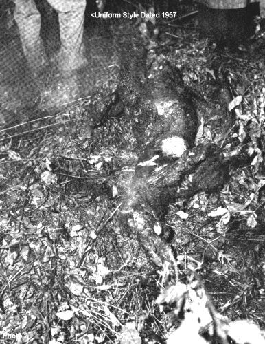 Détail de la photo 2 montrant le corps étendu dans la végétation et un uniforme ressemblant à ceux de        1957