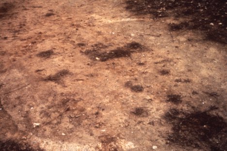 La trace circulaire photographiée au sol