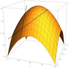 Ici la fonction implique plusieurs 2 variables/dimensions et sa dérivée est donc la somme des dérivées        (tangentes) dans chaque variable/dimension
