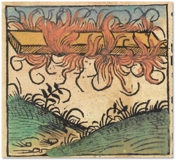 Gravure (colorisée) du phénomène céleste "embrasé"  observé s1Schedel, Hartmann: Liber Chronicarum, Nuremberg,        incunable de 1493, CLXXXIX