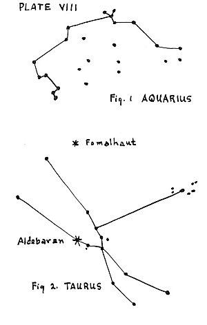 Plate VIII. Fig. 1: Aquarius. Fig. 2: Taurus