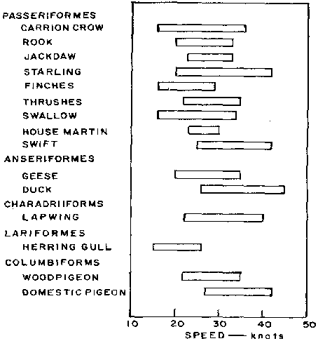 Figure 5 : Diagramme de vitesse aérienne des oiseaux s16Houghton, F. "Detection, Recognition and Identification of Birds on Radar," Proc. Eleventh Wx. Radar Conf.,    (1964), 14-21.