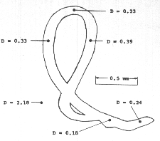 Tracing of a frame from the NewZealand film