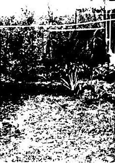 Jardin aire gazonnée