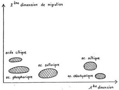 Fig.13 - Analyse qualitative des acides des organiques par chromatographie.