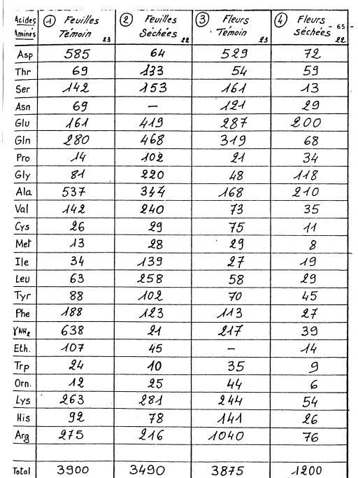Figure 15 - nombre de nano-moles d'Acides Aminés/100 mg de poids sec.