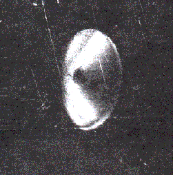 Fig. 1. Enlarged positive print of disc from original negative.