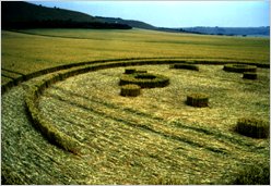 West Stowell, Wiltshire, wheat, 170ft, 22 July 1994