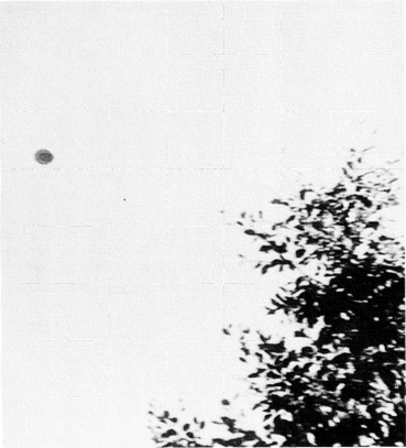 Photograph 1.