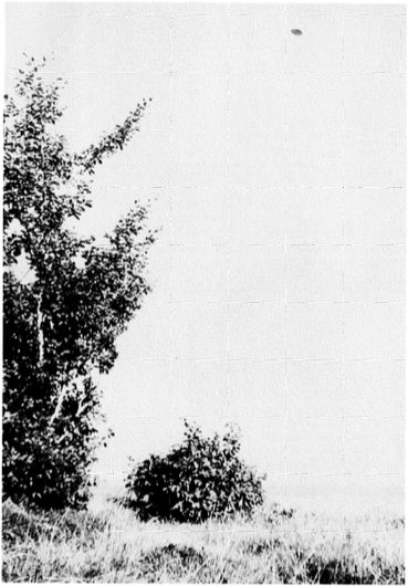 Photograph 4.
