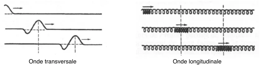Schémas d'une onde transversale sur une corde et d'une onde longitudinale dans un ressort