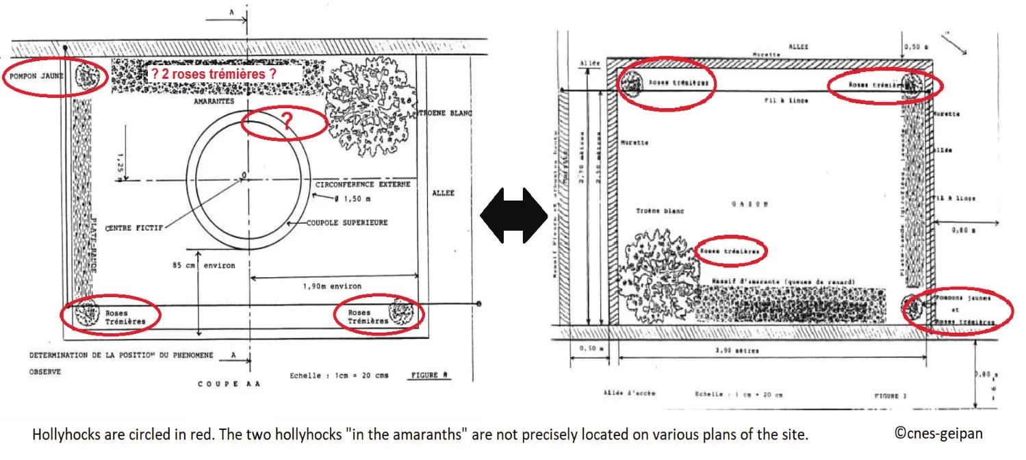 Two GEPAN plans of the garden side by side (NT17 figures 8 and 3), with the hollyhocks circled in red and a question mark where the two hollyhocks in the amaranths should be